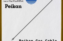 Paykan Accelerator Cable